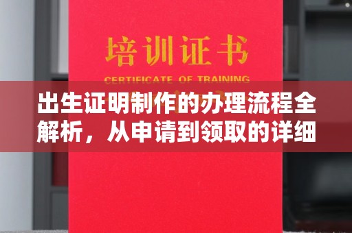 雷州出生证明制作的办理流程全解析，从申请到领取的详细指南